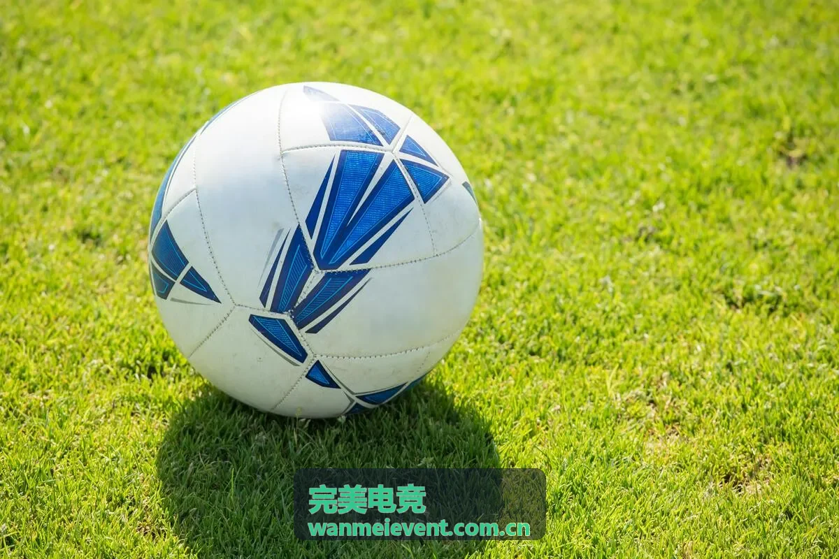 完美电竞格斗游戏亚洲杯线上预选赛